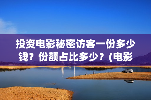 投资电影秘密访客一份多少钱？份额占比多少？(电影秘密百度百科)