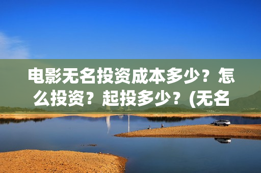 电影无名投资成本多少？怎么投资？起投多少？(无名电影演员)