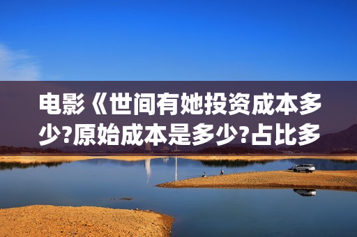 电影《世间有她投资成本多少?原始成本是多少?占比多少?(世间有她电影预告片)