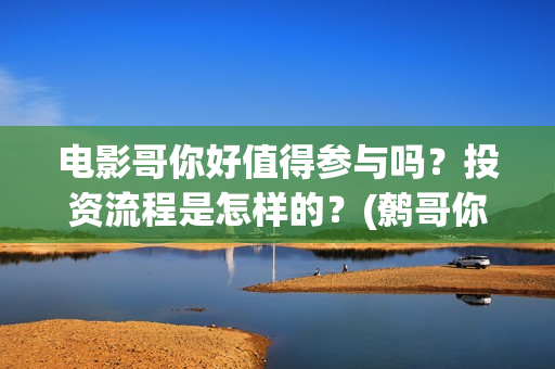 电影哥你好值得参与吗？投资流程是怎样的？(鹩哥你好教材)