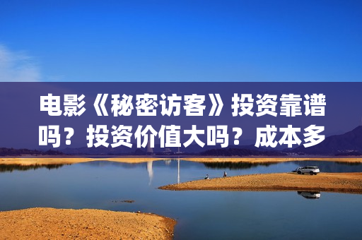 电影《秘密访客》投资靠谱吗？投资价值大吗？成本多少？(电影,秘密访客)