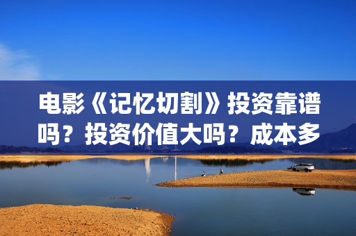 电影《记忆切割》投资靠谱吗？投资价值大吗？成本多少？ (记忆切割演的什么)