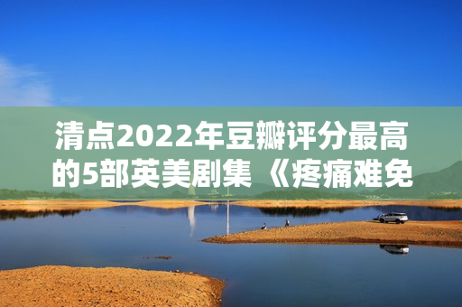 清点2022年豆瓣评分最高的5部英美剧集 《疼痛难免》评分最高 清点2022年豆瓣评分最高的5部英美剧集 《疼痛难免》评分最高