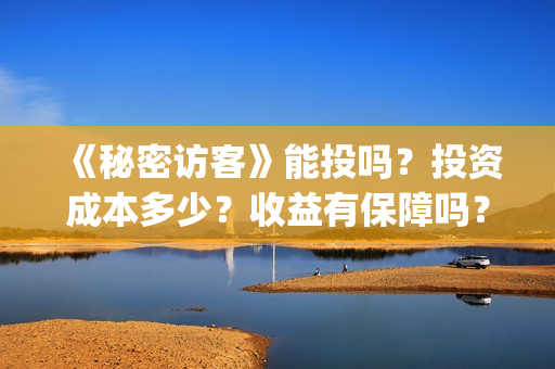《秘密访客》能投吗？投资成本多少？收益有保障吗？(《秘密访客》看不懂)