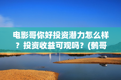 电影哥你好投资潜力怎么样？投资收益可观吗？(鹩哥你好mp3)