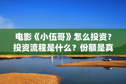 电影《小伍哥》怎么投资？投资流程是什么？份额是真实的吗？(电影小伍哥上映时间)