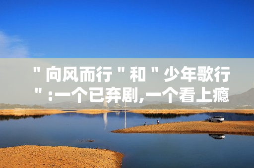 "向风而行"和"少年歌行":一个已弃剧,一个看上瘾 "向风而行"和"少年歌行":一个已弃剧,一个看上瘾