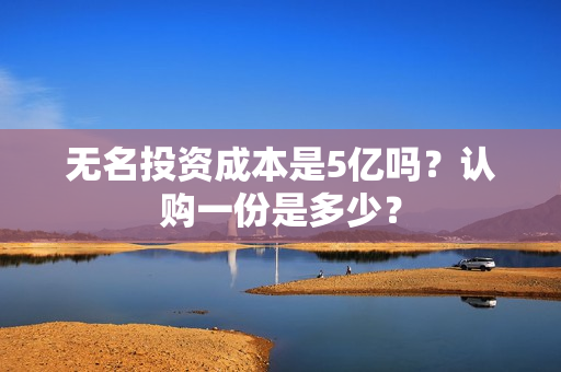 无名投资成本是5亿吗？认购一份是多少？