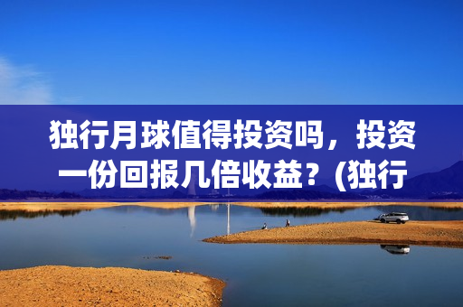 独行月球值得投资吗，投资一份回报几倍收益？(独行月球结局什么意思)
