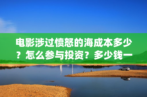 电影涉过愤怒的海成本多少？怎么参与投资？多少钱一份？(电影涉过愤怒的海故事原型)