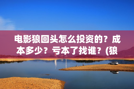 电影狼回头怎么投资的？成本多少？亏本了找谁？(狼回头视频)