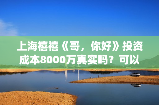 上海禧禧《哥，你好》投资成本8000万真实吗？可以投资？(禧哥是做什么行业的)