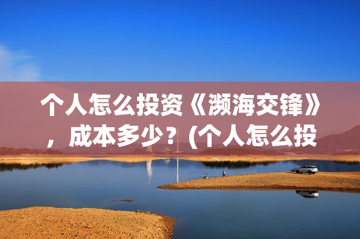 个人怎么投资《濒海交锋》，成本多少？(个人怎么投资铜)
