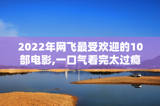 2022年网飞最受欢迎的10部电影,一口气看完太过瘾