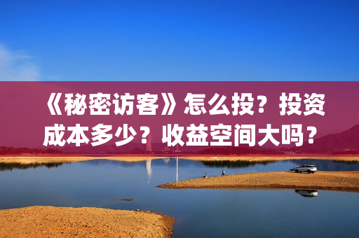 《秘密访客》怎么投？投资成本多少？收益空间大吗？(秘密访客在讲啥)