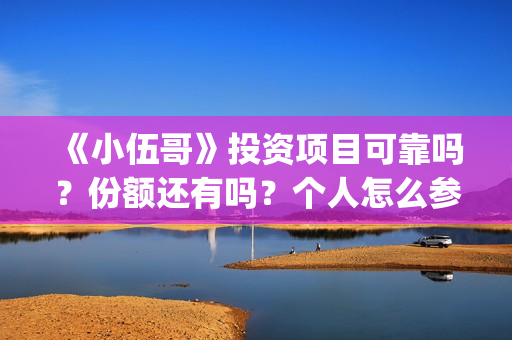 《小伍哥》投资项目可靠吗？份额还有吗？个人怎么参与投资(电影小伍哥投资)