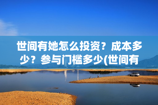世间有她怎么投资？成本多少？参与门槛多少(世间有她怎么投资)