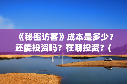 《秘密访客》成本是多少？还能投资吗？在哪投资？(秘密访客完整剧情)