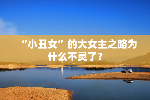 “小丑女”的大女主之路为什么不灵了? “小丑女”的大女主之路为什么不灵了?
