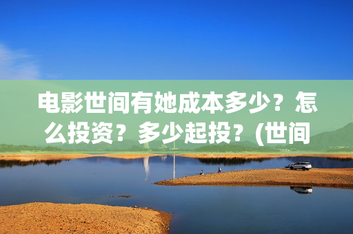 电影世间有她成本多少？怎么投资？多少起投？(世间有她是什么片)