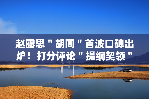 赵露思＂胡同＂首波口碑出炉！打分评论＂提纲契领＂