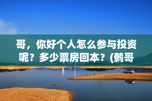 哥，你好个人怎么参与投资呢？多少票房回本？(鹩哥你好mp3)