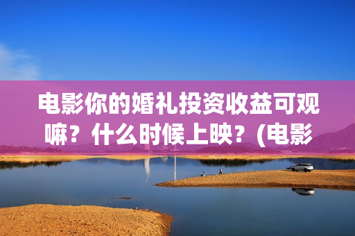 电影你的婚礼投资收益可观嘛？什么时候上映？(电影你的婚礼投资方)
