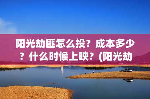 阳光劫匪怎么投？成本多少？什么时候上映？(阳光劫匪在哪里)