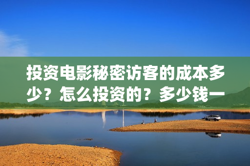 投资电影秘密访客的成本多少？怎么投资的？多少钱一份(电影秘密访客投资风险大吗)