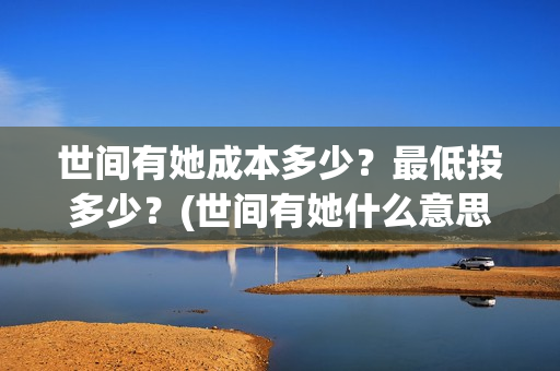 世间有她成本多少？最低投多少？(世间有她什么意思)