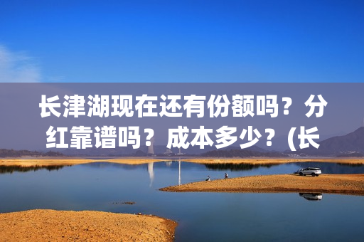 长津湖现在还有份额吗？分红靠谱吗？成本多少？(长津湖现在什么样)