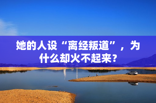 她的人设“离经叛道”，为什么却火不起来？