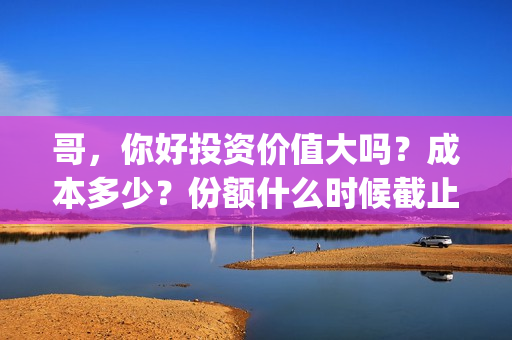 哥，你好投资价值大吗？成本多少？份额什么时候截止？(歌曲哥哥你好)