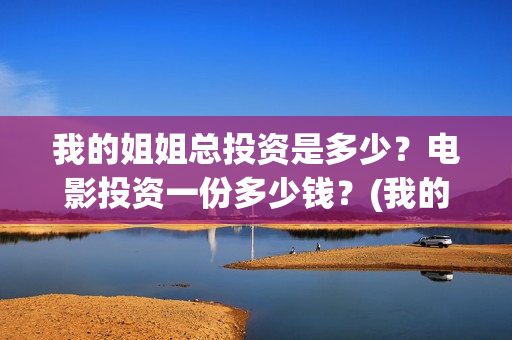 我的姐姐总投资是多少？电影投资一份多少钱？(我的姐姐投资商)