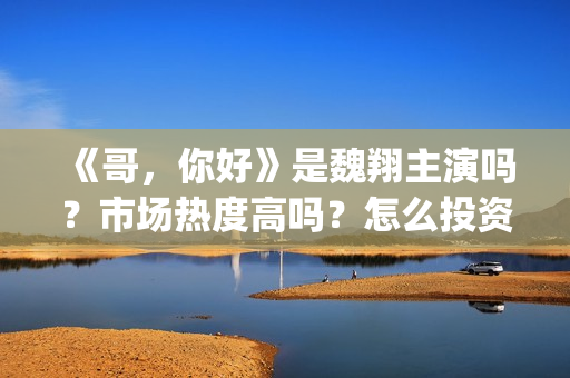《哥，你好》是魏翔主演吗？市场热度高吗？怎么投资认购？分账快吗？(鹩哥你好mp3)