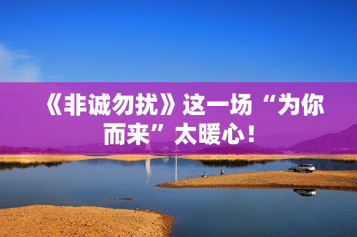 《非诚勿扰》这一场“为你而来”太暖心！