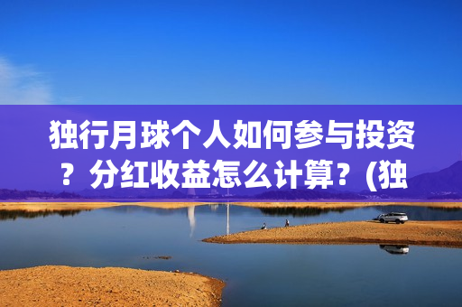 独行月球个人如何参与投资？分红收益怎么计算？(独行月球结局什么意思)