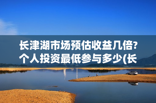 长津湖市场预估收益几倍?个人投资最低参与多少(长津湖涨价)