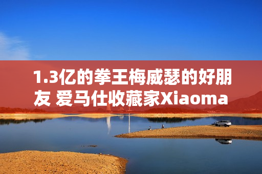 1.3亿的拳王梅威瑟的好朋友 爱马仕收藏家Xiaoma