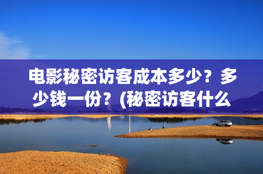 电影秘密访客成本多少?多少钱一份?(秘密访客什么电影) 电影秘密访客成本多少?多少钱一份?(秘密访客什么电影)