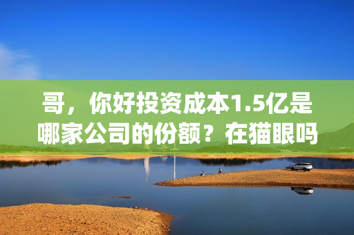 哥，你好投资成本1.5亿是哪家公司的份额？在猫眼吗？预测票房多少？(鹩哥你好mp3)