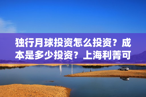 独行月球投资怎么投资？成本是多少投资？上海利菁可以投资吗？(独行月球成本)