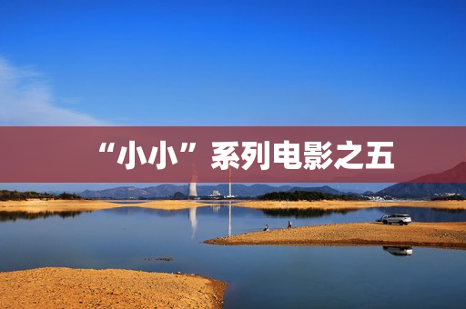 “小小”系列电影之五