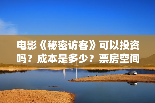 电影《秘密访客》可以投资吗？成本是多少？票房空间大吗？(《秘密访客》上映)