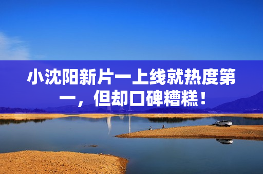 小沈阳新片一上线就热度第一，但却口碑糟糕！