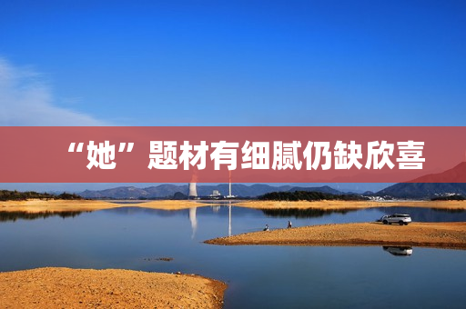 “她”题材有细腻仍缺欣喜