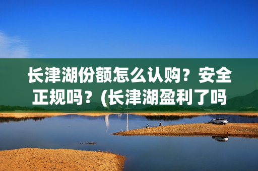 长津湖份额怎么认购？安全正规吗？(长津湖盈利了吗)