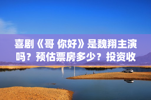 喜剧《哥 你好》是魏翔主演吗？预估票房多少？投资收益有前景吗？(鹩哥你好)