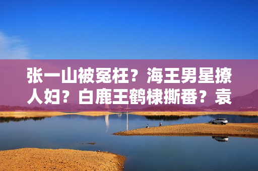 张一山被冤枉？海王男星撩人妇？白鹿王鹤棣撕番？袁冰妍复出？刘浩存搭上于正？