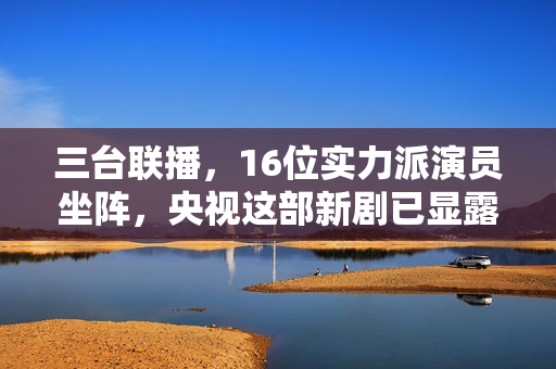 三台联播，16位实力派演员坐阵，央视这部新剧已显露“剧王”潜质